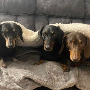 Meet your Posher, Kathryn